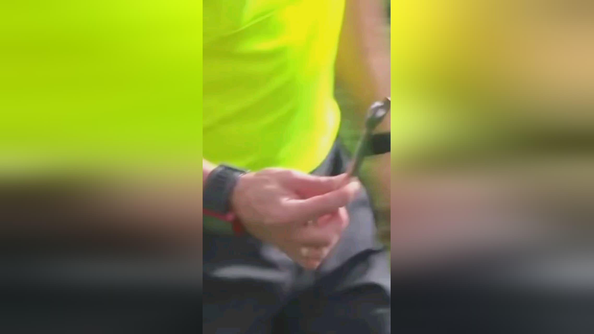示了他们