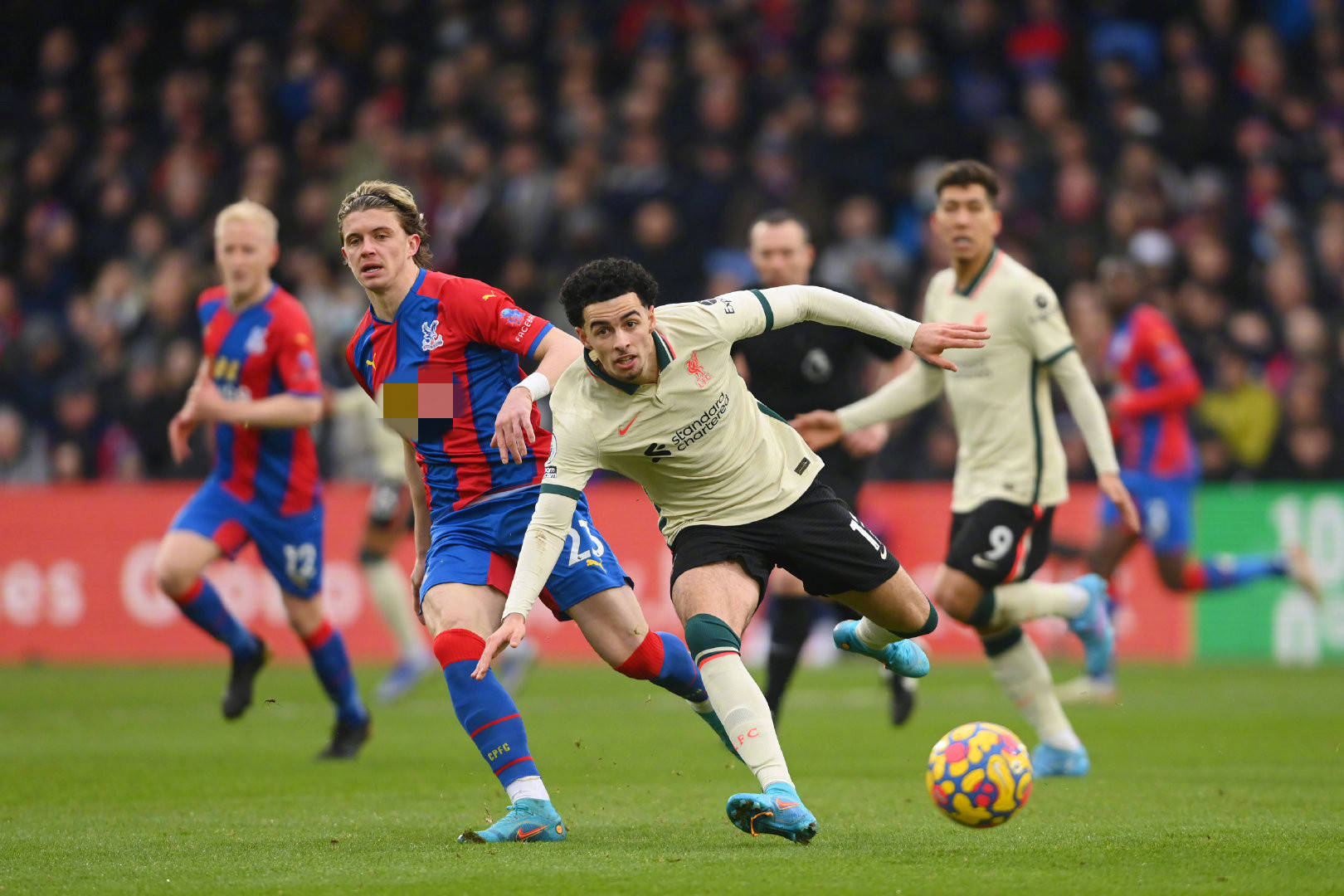 作为现代篮 作为现代篮