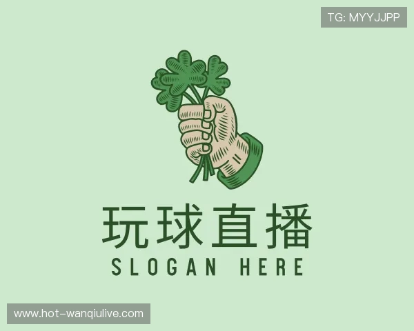介绍玩球巅峰赛事观看